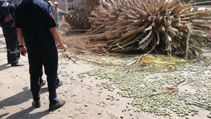 مستقبل وطن المنتزه ينجح في حل مشكلة شارع شفيق غربال بروكسي