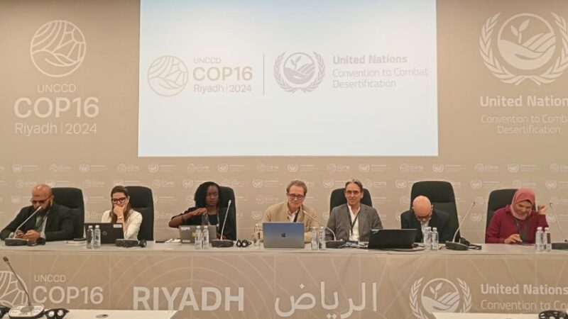 تخضير الصحراء: رؤية سيكم لمكافحة التصحر في مؤتمر الأطراف السادس عشر COP16 في الرياض