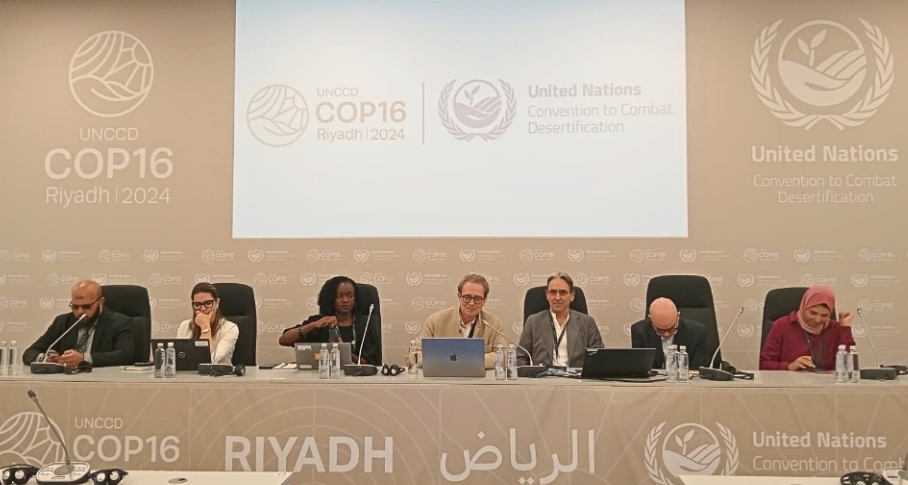 تخضير الصحراء: رؤية سيكم لمكافحة التصحر في مؤتمر الأطراف السادس عشر COP16 في الرياض