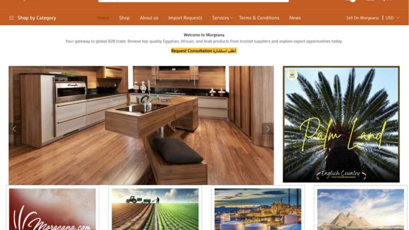 مرجانة: مستقبل التجارة الإلكترونية بين الشركات في العالم العربي
