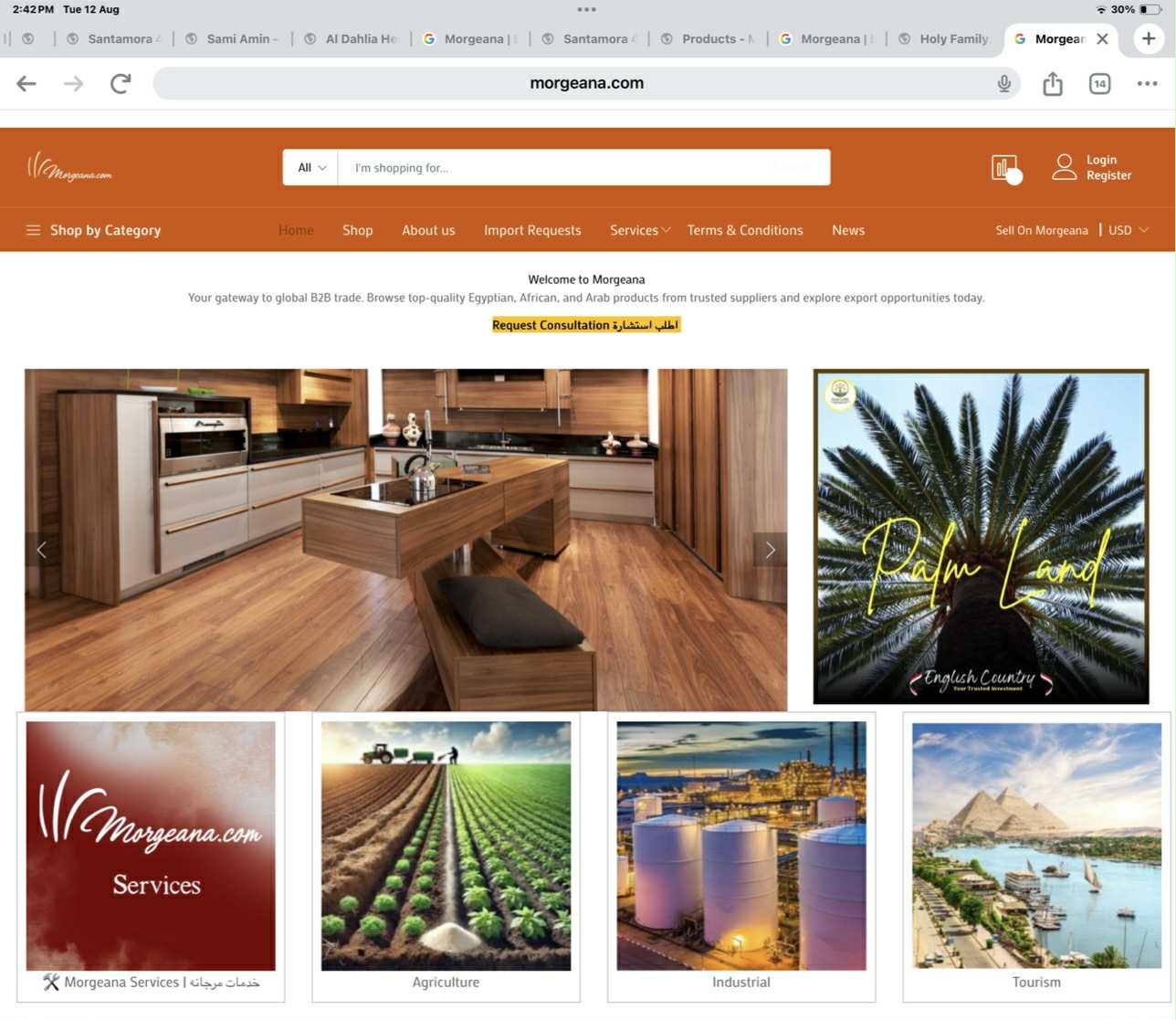مرجانة: مستقبل التجارة الإلكترونية بين الشركات في العالم العربي