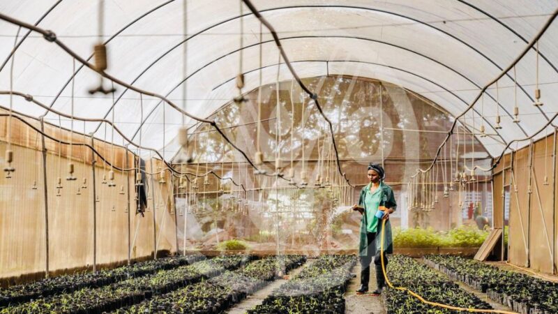 الأمين التنفيذي لاتفاقية المناخ بالأمم المتحدة يسلّط الضوء على إمكانية خلق ملايين الوظائف وتأمين الطاقة وتحسين مستويات المعيشة