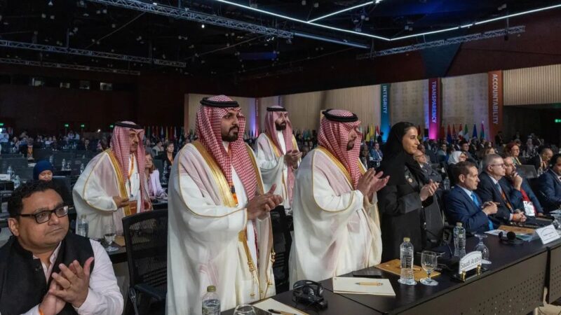 السعودية تفوز برئاسة المنظمة الدولية للأجهزة العليا للرقابة المالية العامة والمحاسبة (الإنتوساي)