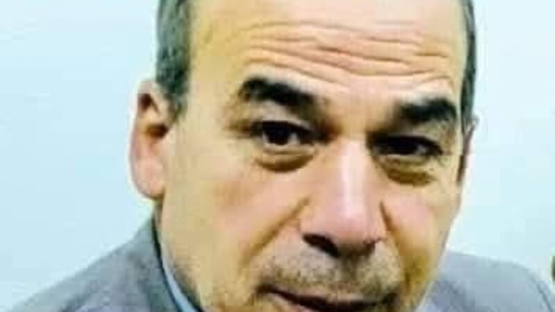 انور ابو الخير يكتب : وطني وطن السلام