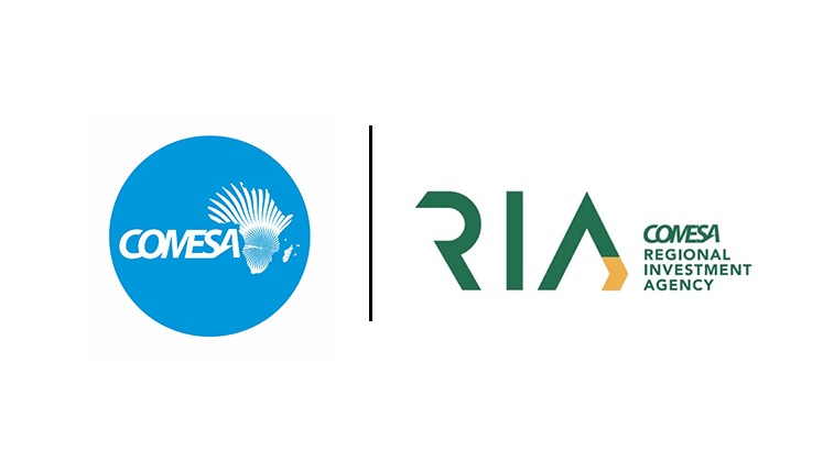 الكوميسا: صفقة «رأس الحكمة» تقفز بالتدفقات الاستثمارية الأجنبية لدول التجمع الأفريقي بأكثر من 154% إلى 65 مليار دولار في 2024