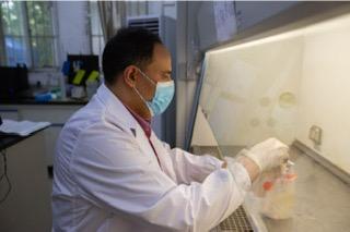 أستاذ بجامعة طنطا يصل إلى العالمية الصحف العالمية: تقنية رائدة لتحويل أصباغ الآزو واللجنين إلى بيوديزل مستوحى من الخمائر المخفية داخل مفاعل الطبيعة