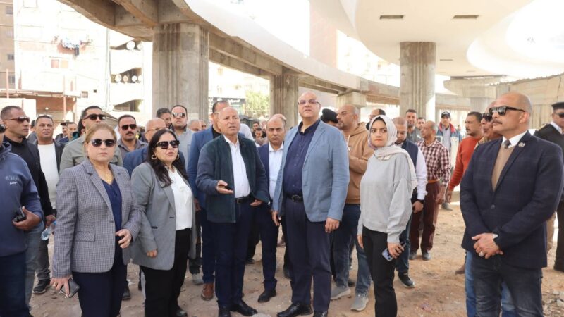 لليوم الثاني.. محافظ القاهرة ومحافظ القليوبية على رأس حملة موسعة بالمنطقة الحدودية بالمرج