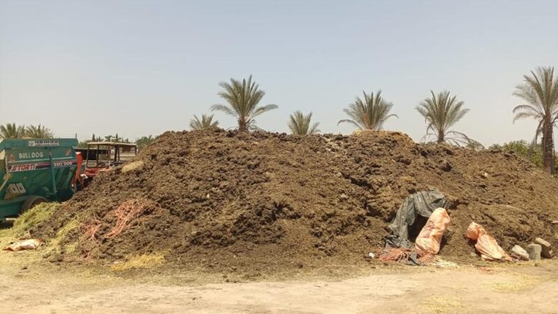 مزارع المواشي العشوائية تشعل غضب المستثمرين في “أحمد عرابي”.. وتهديدات بالهروب من العبور بسبب الكارثة البيئية
