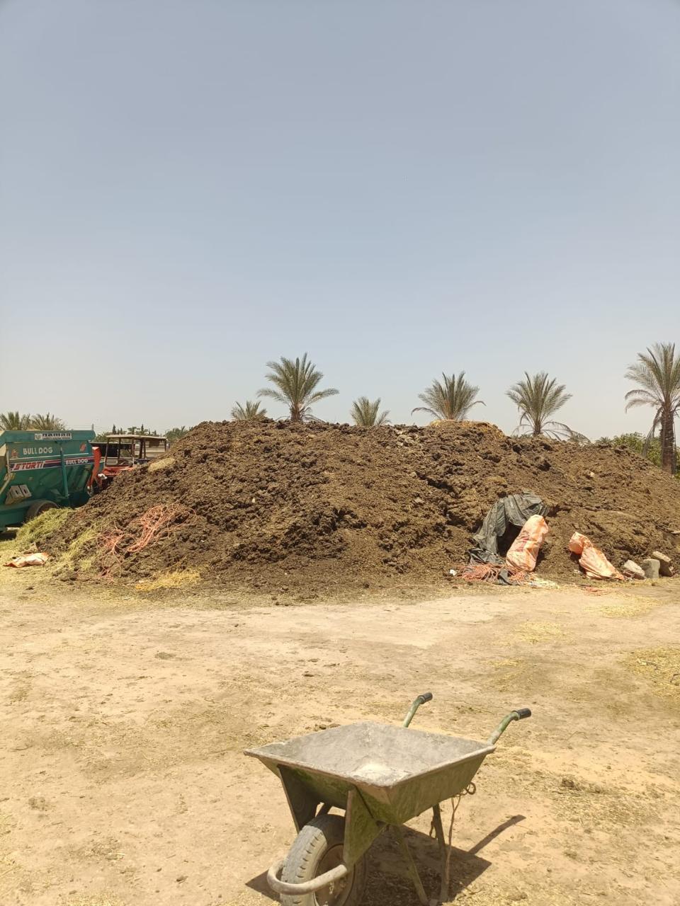 مزارع المواشي العشوائية تشعل غضب المستثمرين في “أحمد عرابي”.. وتهديدات بالهروب من العبور بسبب الكارثة البيئية
