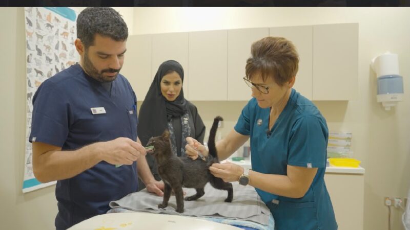 جمعية أبوظبي لرعاية الحيوان (AWAD) تعزز مفهوم الملكية المسؤولة للحيوانات الأليفة من خلال مبادرة «الجاهزية لتسجيل الحيوانات الأليفة»