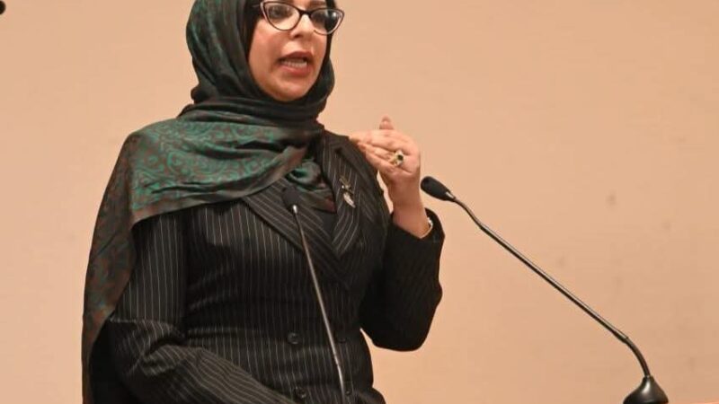 مروة حلاوة.. نائبة تضع صحة المصريين وتوطين الدواء في مقدمة أولوياتها