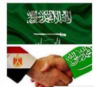 رواسي المشاعر المتقدمة لتشغيل المسالخ تقتحم السوق المصري باستثمارات واسعة في قطاع الدواجن واللحوم الحمراء